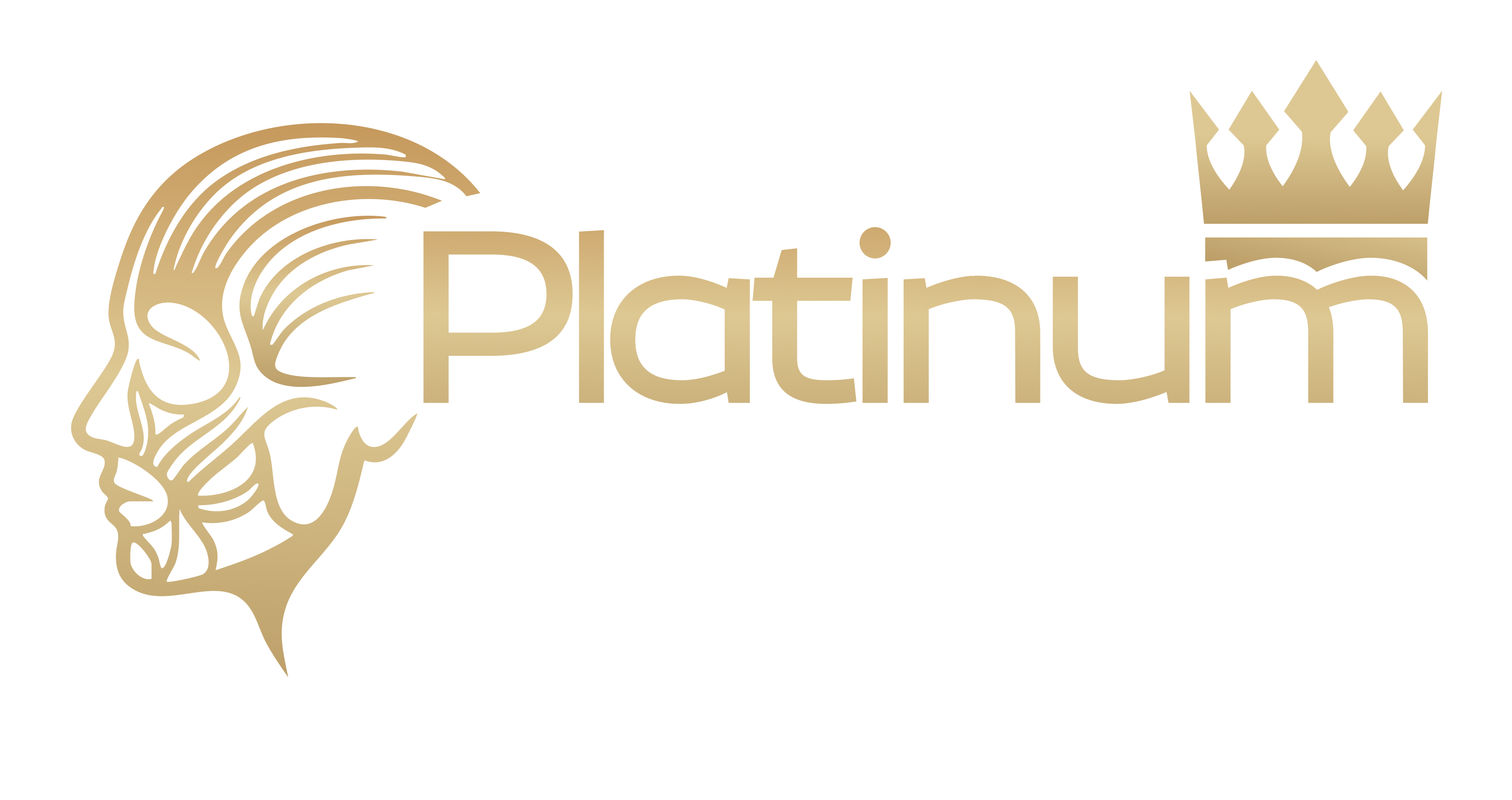 Platinum Anatomy